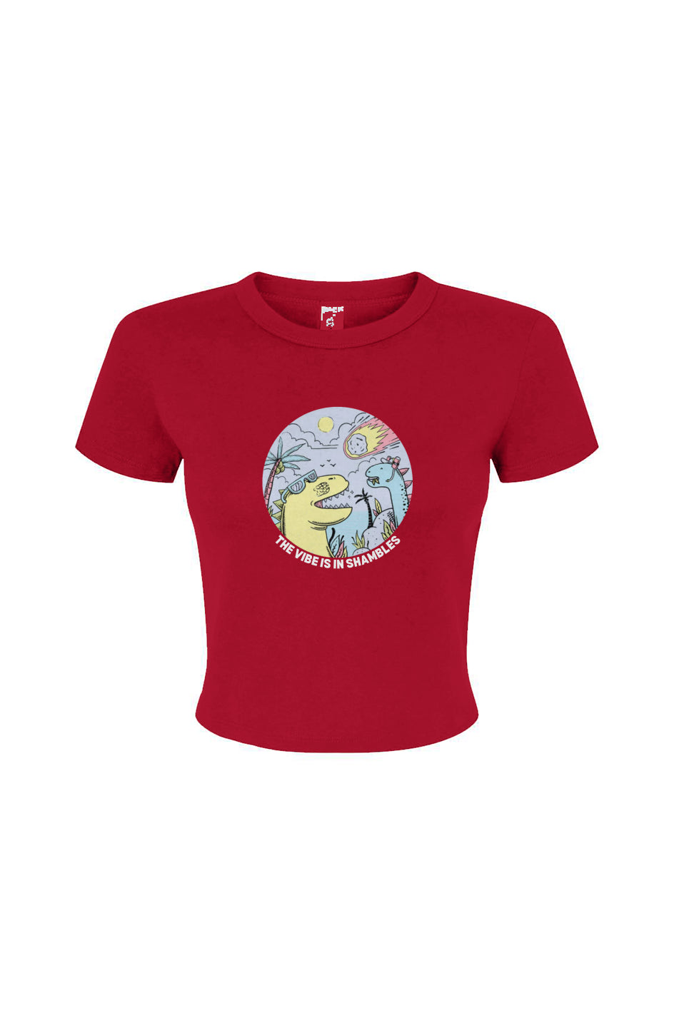Women's Micro Rib Baby Tee